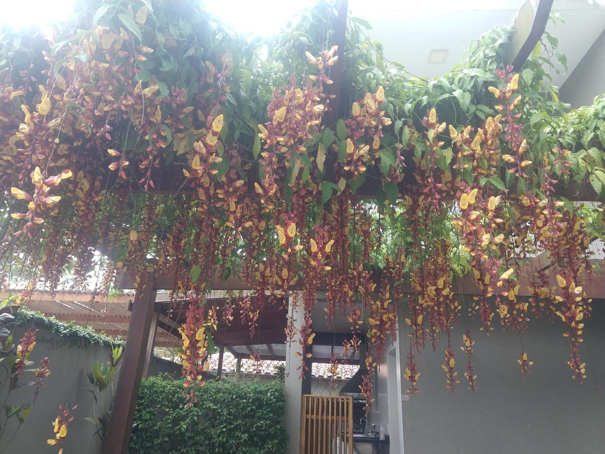 סאו סבסטיאו Casa Em Condominio Fechado, Ambiente Familiar מראה חיצוני תמונה